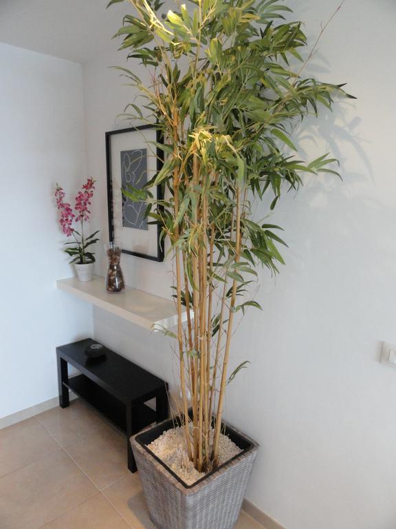 Apartment Poris Sunrises Poris de Abona Εξωτερικό φωτογραφία